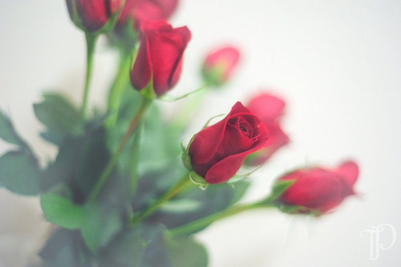 red_bouquet.jpg