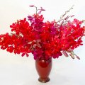 Red Orchid flowers in urn_ vase