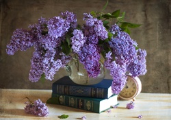 * Lilacs *