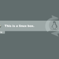 gentoo_linux_box.jpg
