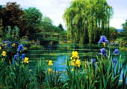Flowers at Pond