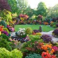 Beautiful garden