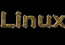 Linux Gold PNG