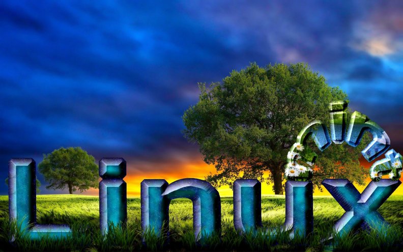 linux_mint.jpg