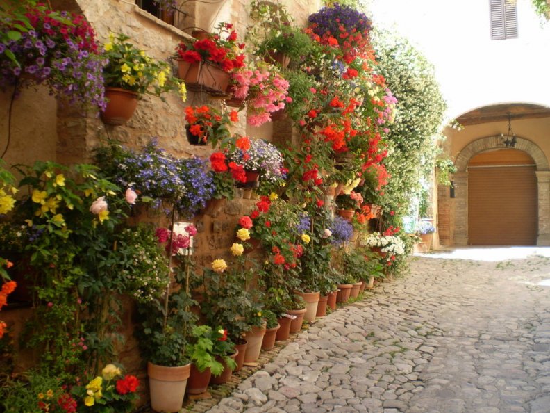 wall_of_flowers.jpg
