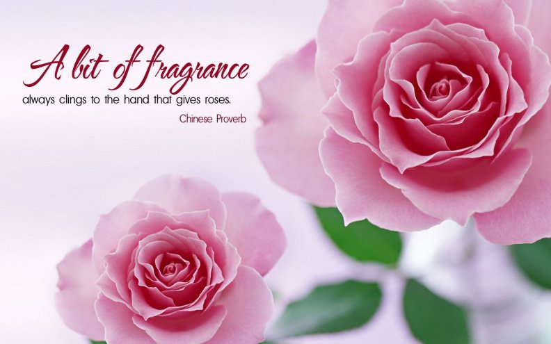 a_bit_of_fragrance.jpg