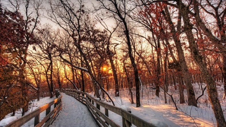path_through_a_forest_on_a_winter_sunset_hdr.jpg