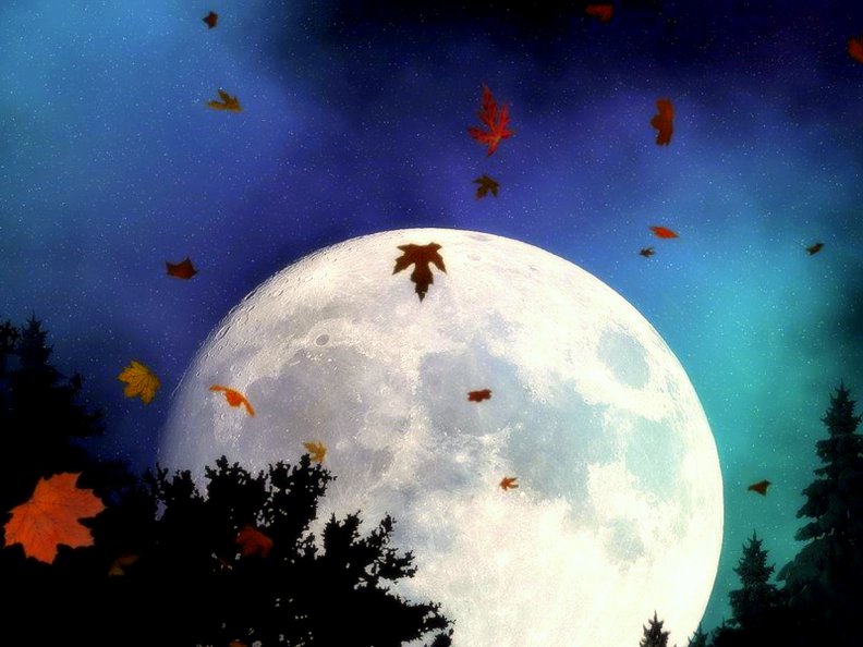 ~Full Moon in Fall~