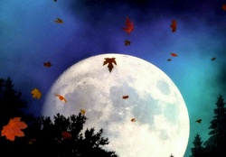 ~Full Moon in Fall~