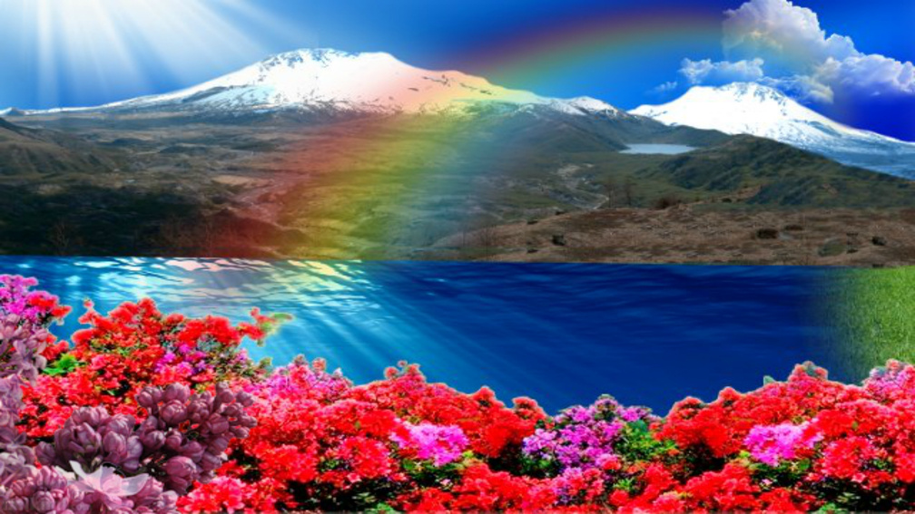 Beautiful rainbow, nature, rainbow, sky, field, HD wallpaper | Peakpx