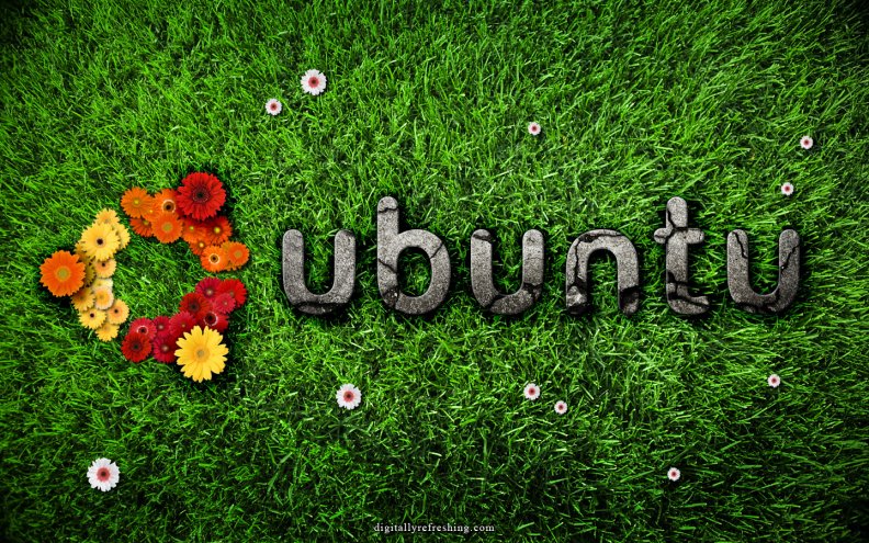 ubuntu_grass_and_flower.jpg
