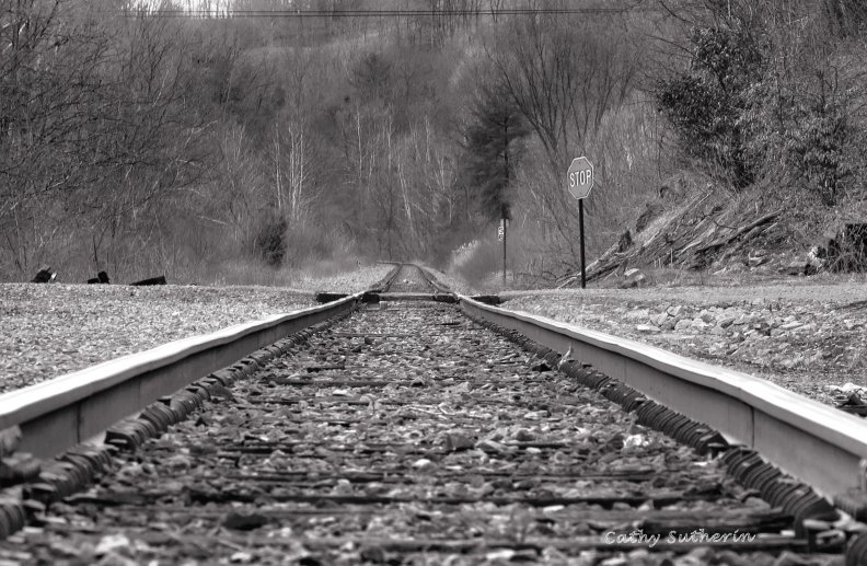 train_tracks.jpg
