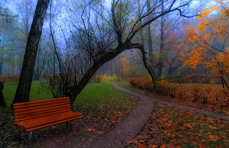 Autumn Loneliness