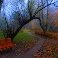 Autumn Loneliness