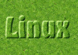 Linux_Moss