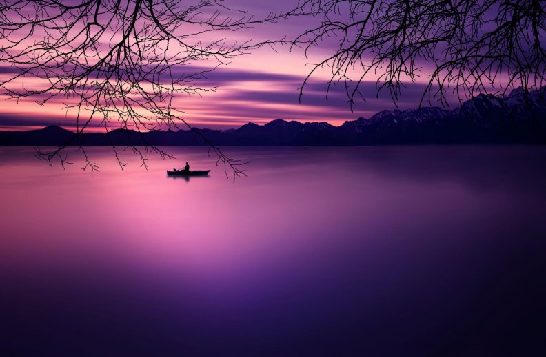 purple_world.jpg