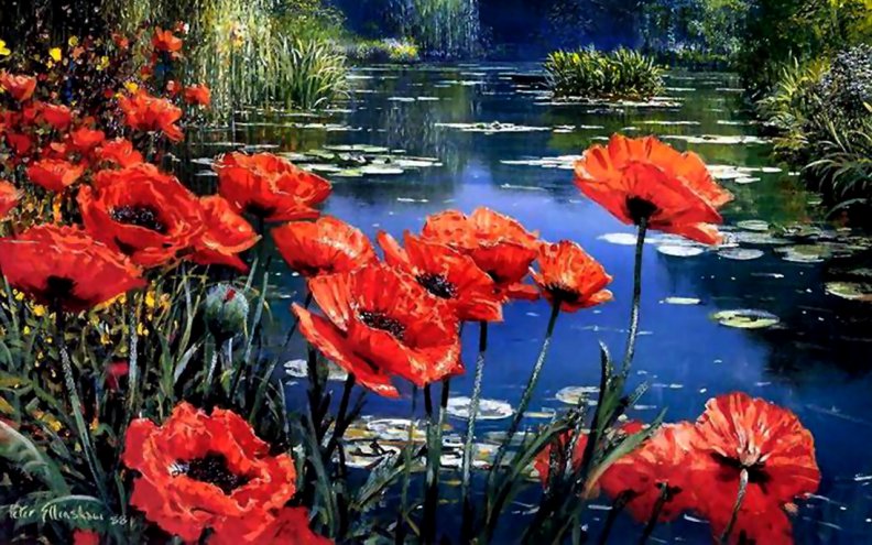 red_poppies_by_the_pond_f1.jpg
