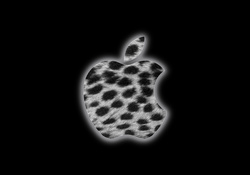 Silver spotted apple logo