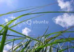 Ubuntu Sky