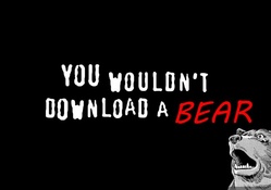 Downloaded a Bear