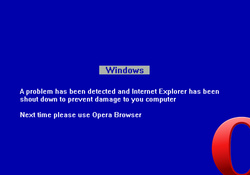 Internet Explorer Problem
