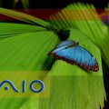 Vaio Butterfly