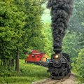 Train in Woods