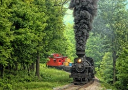 Train in Woods