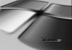 windows black logo
