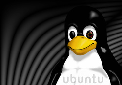Tux _ Ubuntu