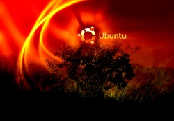 ubuntu salvaje