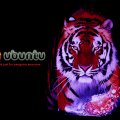 ubuntu_tiger.jpg