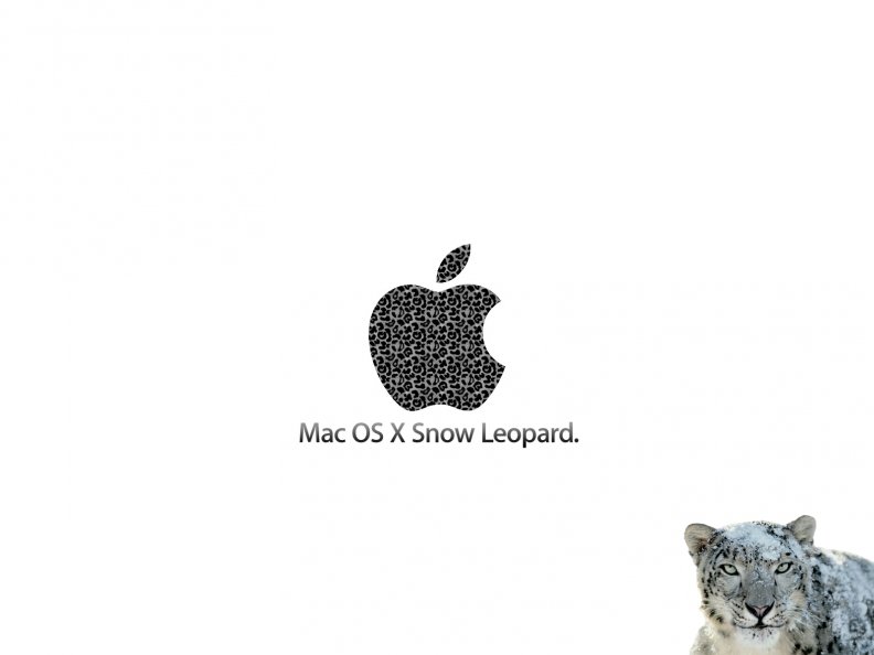 mac_os_x_snow_leopard.jpg