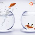 Linux_Ubuntu_GoldFish_Bowls