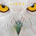 Linux Owl
