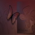 Butterfly Window 7