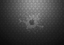 apple logo on the wall