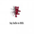 Say Hello To BSD