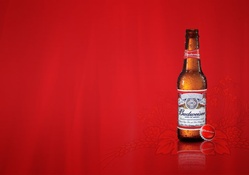 The King of Beers