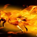 Flaming Firefox
