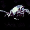 AMD Dragon