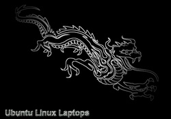 Black Chrome Dragon Ubuntu Laptops 