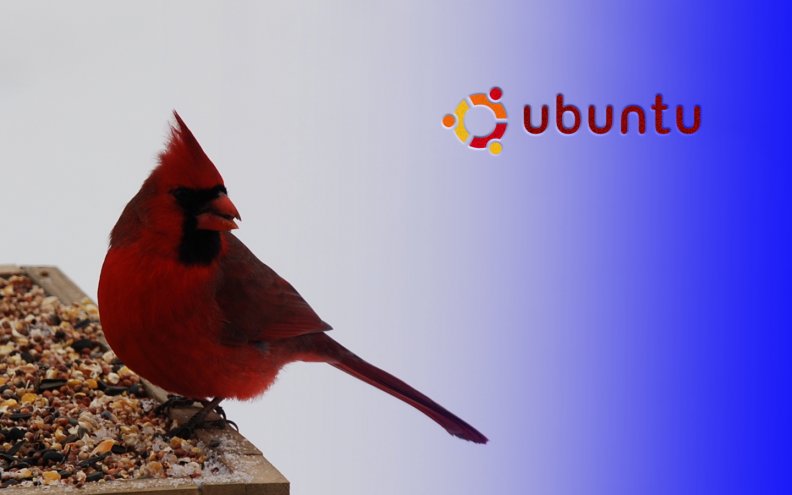 Ubuntu Cardinal