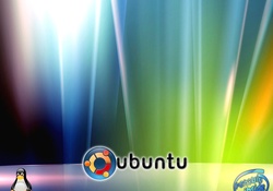 Vista Ubuntu