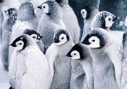 freezing winter on Linux
