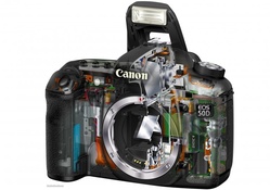 Canon 50 D
