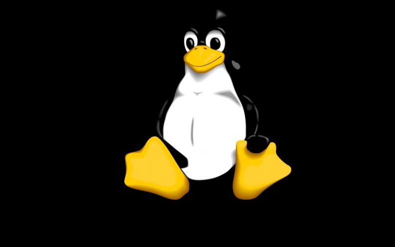 Gif в bmp. Изображения в формате bmp. Изображения с расширением bmp. Пингвин линукс. Два рисунка с расширением *.bmp..