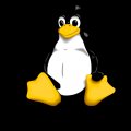 Linux Logo (Penguin)