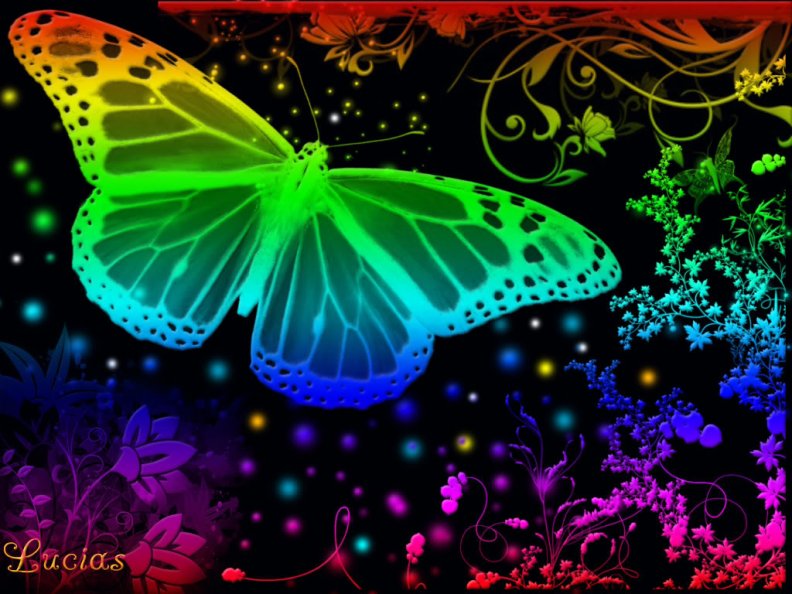 butterfly_color.jpg