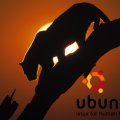 Ubuntu_Leopard_Sunset
